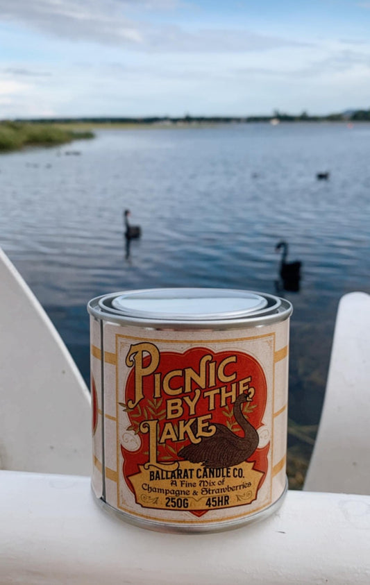 Picnic By The Lake