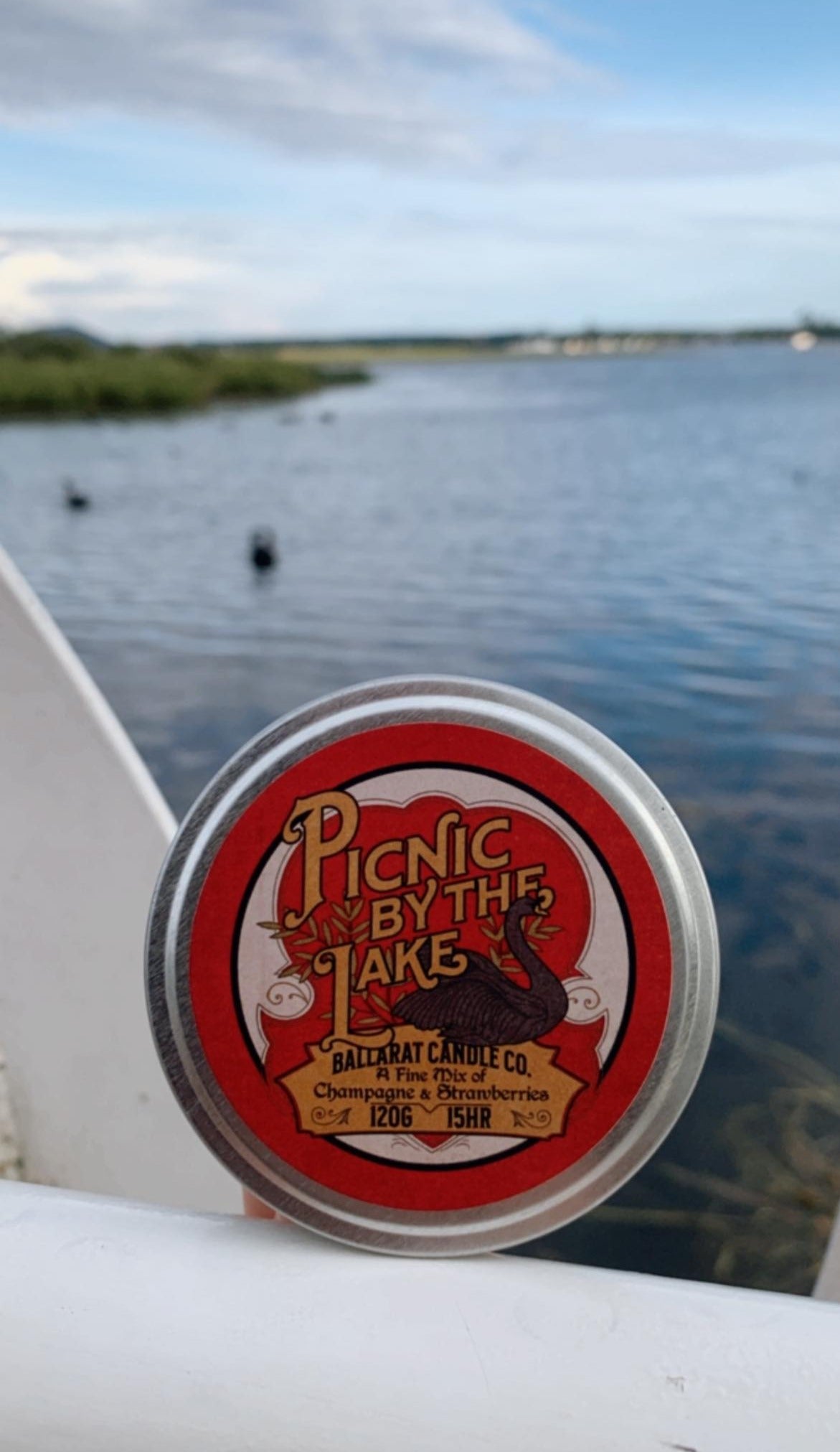 Picnic By The Lake Travel Tin